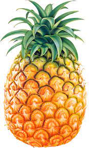 Pineapple