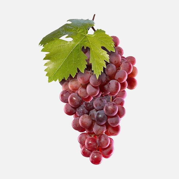 Grape